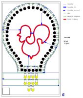 02 Het neie Lempke - het ontwerp 02 Het neie Lempke - het ontwerp